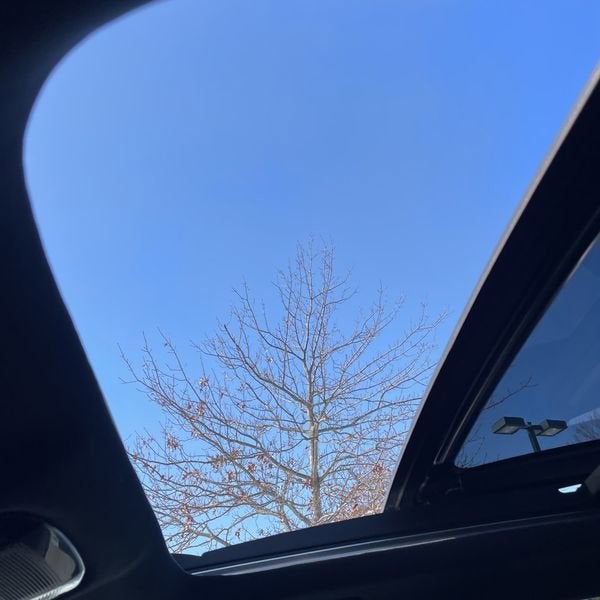 2023 Lexus RX RX 350h Luxury