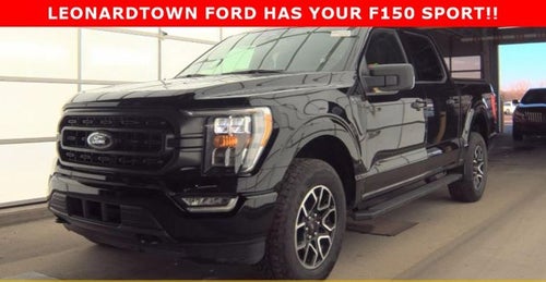 2023 Ford F-150 XLT SPORT
