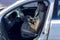 2013 Lincoln MKS Base
