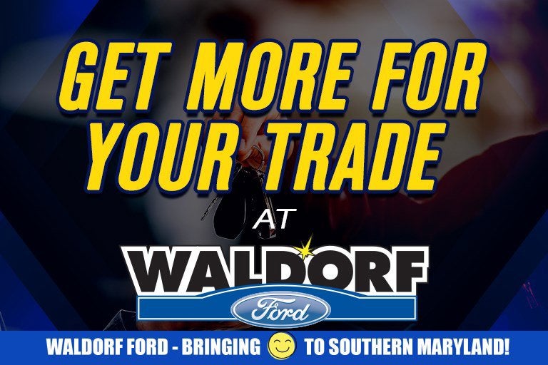 2023 Ford Transit Cargo Van 250