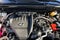 2025 Lexus NX NX 350