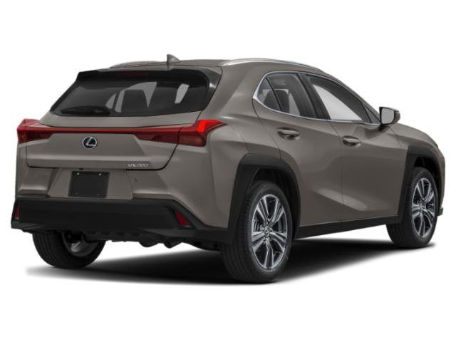 2019 Lexus UX 200 F SPORT