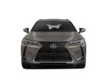 2019 Lexus UX 200 F SPORT