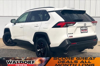 2019 Toyota RAV4 LE