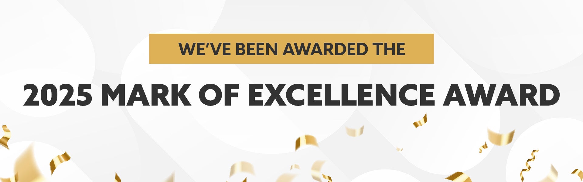 2025 Mark of Excellence Award